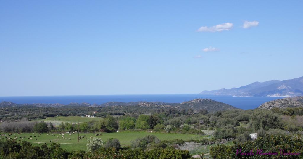 La Canardiere Casta Exteriör bild